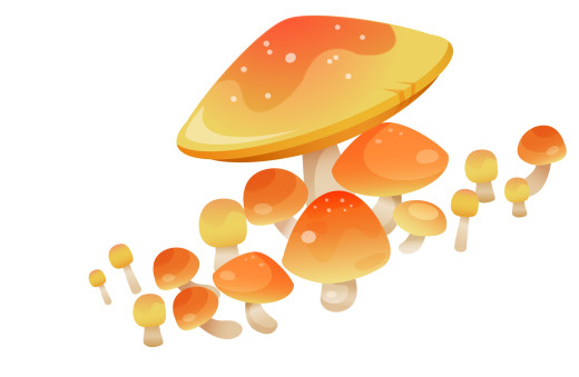 913156 (a): :2898x1887